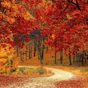 Meet your Posher, Becca